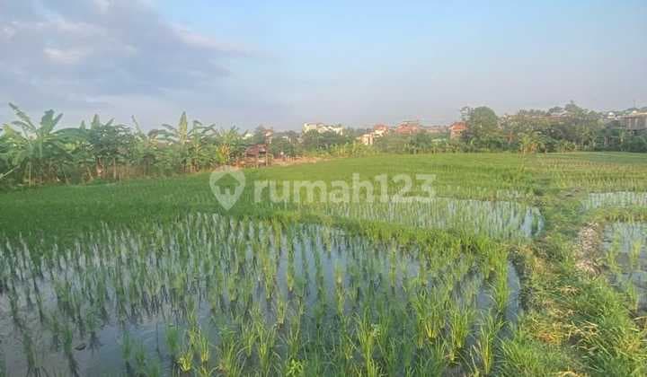 Hot List Di Jual Tanah Kavling Lokasi Jalan Pantai Brawa Canggu Badung