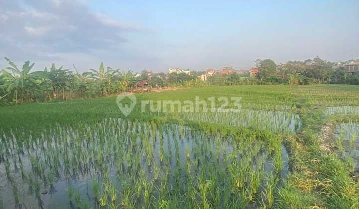 Hot List of plots of land for sale at Jalan Pantai Brawa Canggu Badung