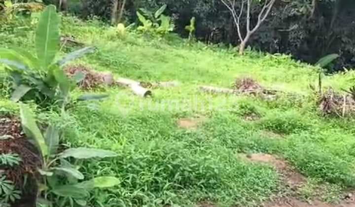 Hot List Di Jual Tanah View Sawah Hutan Lokasi Kenderan Tegallalang Ubud Gianyar