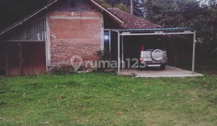 Hot List Di Jual Tanah Bonus Bangunan Lokasi Belimbing Pupuan Tabanan