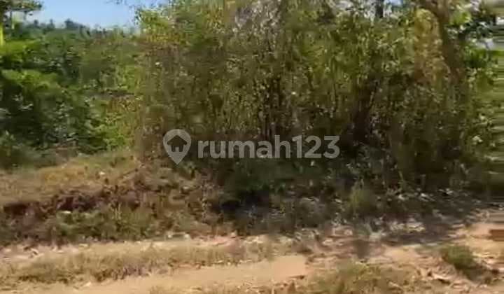 Hot List of Land for Sale in Kubucepat Buleleng
