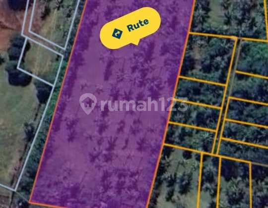 Hot List for Sale of Land Loss Beach View Sea Location Cupel Negara Jembrana