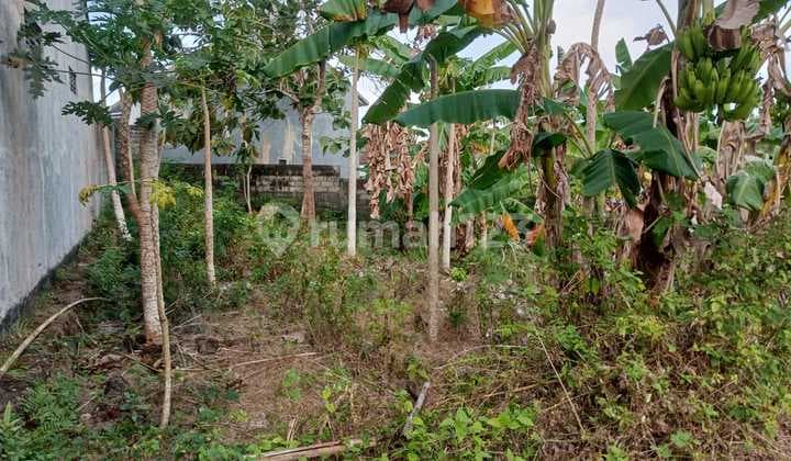 Hot List Di Jual Tanah Lokasi Ungasan Kuta Selatan Badung