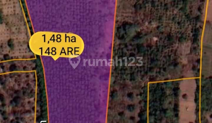 Hot List Di Jual Tanah View Gunung Bukit Lokasi Gesing Banjar Buleleng