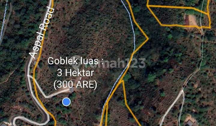 Hot List of Land for Sale in Gesing Buleleng Location