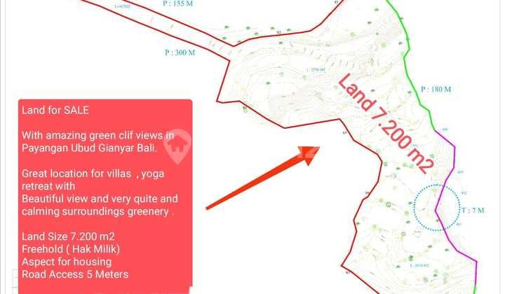 Hot List Di Jual Tanah Lokasi Kelusa Payangan Ubud Gianyar