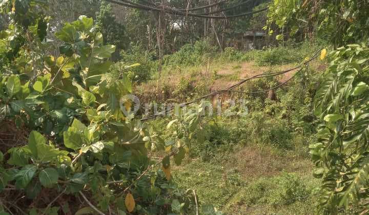 Hot List Di Jual Tanah View Hutan Lokasi Pejeng Kawan Ubud Gianyar