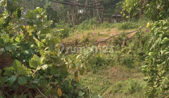 Hot List of Forest View Land for Sale, Pejeng Kawan Ubud Gianyar Location