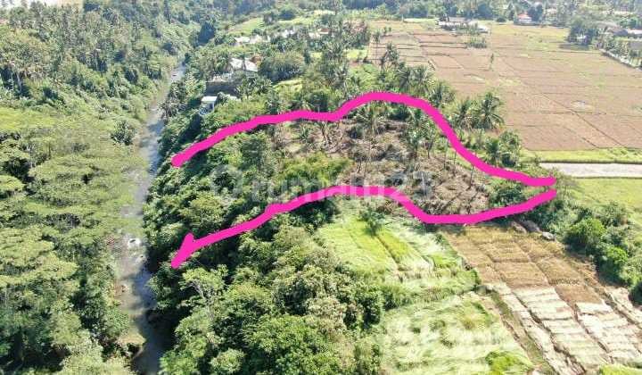 Hot List Di Jual Tanah Loss Sungai Wos Lokasi Lodtunduh Ubud Gianyar
