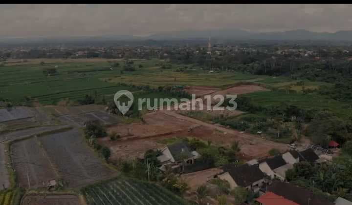 Hot List Di Jual Tanah Lokasi Bona Gianyar