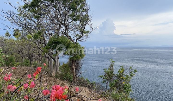 Hot List Di Jual Tanah Loss Tebing View Laut Lokasi Seraya Timur Karangasem