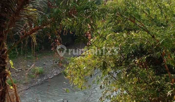 Hot List Di Jual Tanah Lokasi Sayan Ubud Gianyar