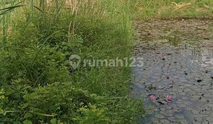 Hot List Di Jual Tanah Lokasi Pemogan Denpasar Selatan