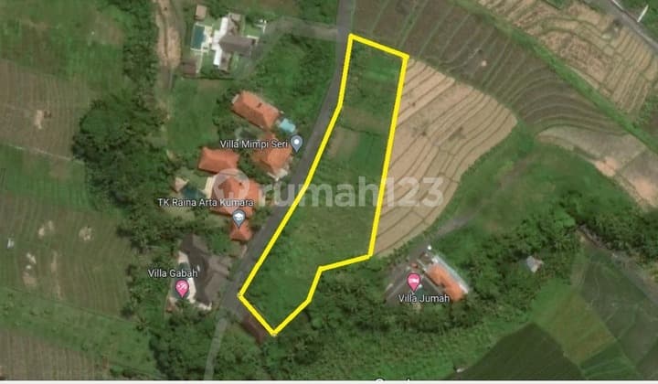 Hot List Di Jual Tanah View Sawah Lokasi Tumbak Bayuh Canggu Kuta Utara Badung