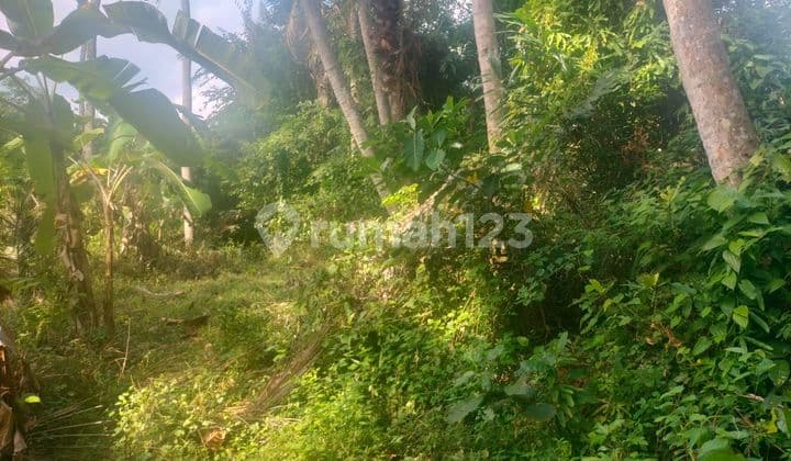 TOP URGENT DI JUAL TANAH LOKASI SABA BLAHBATUH GIANYAR