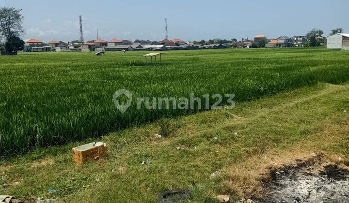 TOP URGENT DI JUAL TANAH PINGGIR JALAN LOKASI PEDUNGAN DENPASAR SELATAN