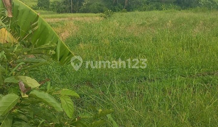 TOP URGENT DI JUAL TANAH PINGGIR JALAN LOKASI KABA KABA KEDIRI TABANAN