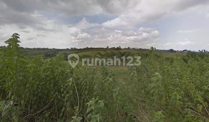 TOP URGENT LAND FOR SALE NEAR THE BEACH LOCATION BERABAN KEDIRI TABANAN