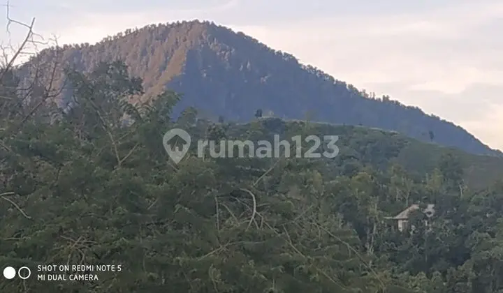 SURE CLOSING FOR SALE LAND WITH SEA & VALLEY VIEW LOCATION MUNDUK TAMBLINGAN BULELENG
