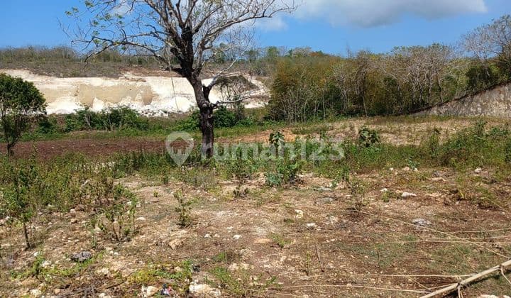 Susususuper Deal Di Jual Tanah Lokasi Pandawa Kutuh Nusa Dua Kuta Selatan Badung