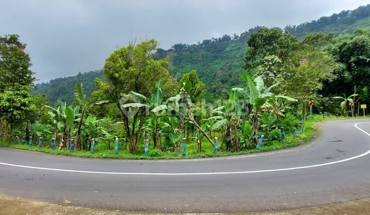 Jual Tanah Sapikerep Bromo 0 Jl Raya Untuk Villa hotel cafe Dll