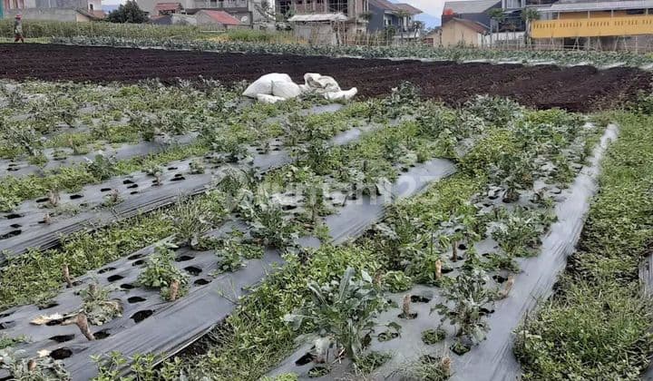 DH-025 JUAL KAVLING MURAH CIHANJUANG BANDUNG BARAT