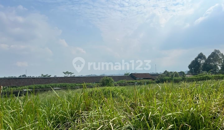 Dijual Tanah Di Kawasan Agro Wisata Cocok Untuk Perkebunan