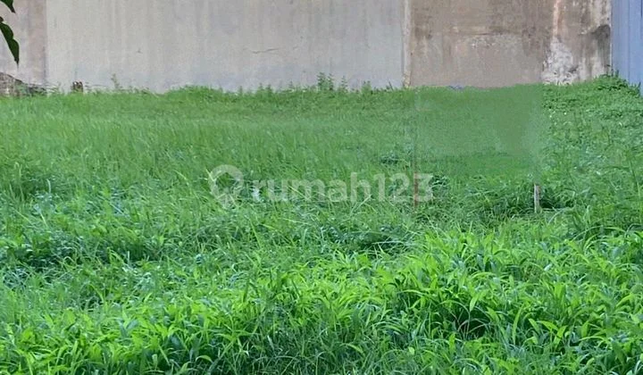 Dijual Tanah Dipernata Buana Siap Bangun Dijual Tanah Dipernata Buana Siap Bangun