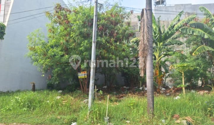 Jual Cepat Tanah Kavling Taman Palem Lestari 10x20 200m Hadap Utara Harga Termurah Shm Bisa Kpt