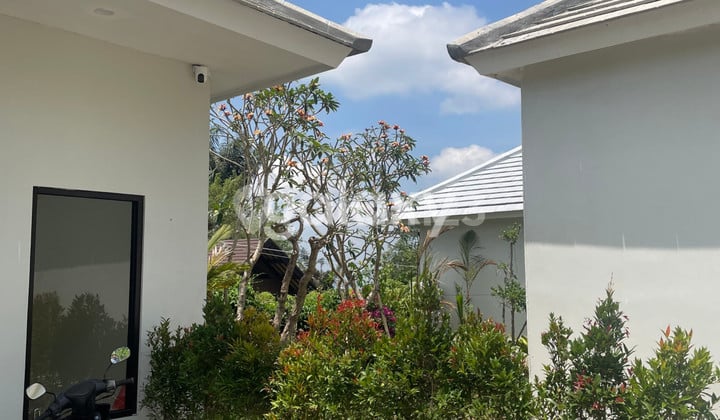Villa Raya Buahan Kaja Payangan Ubud Gianyar, Bali