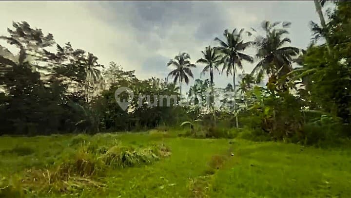 Tanah di Kenderan, Gianyar SHM 152,9 are