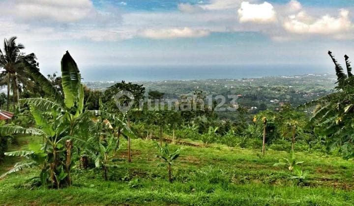 Beautiful land for quick sale in Kayu Putih Village, Buleleng