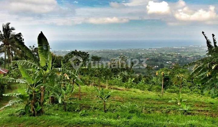 Ocean View Development Land 9800M2 For Sale . Ideal For Villa & Housing Project