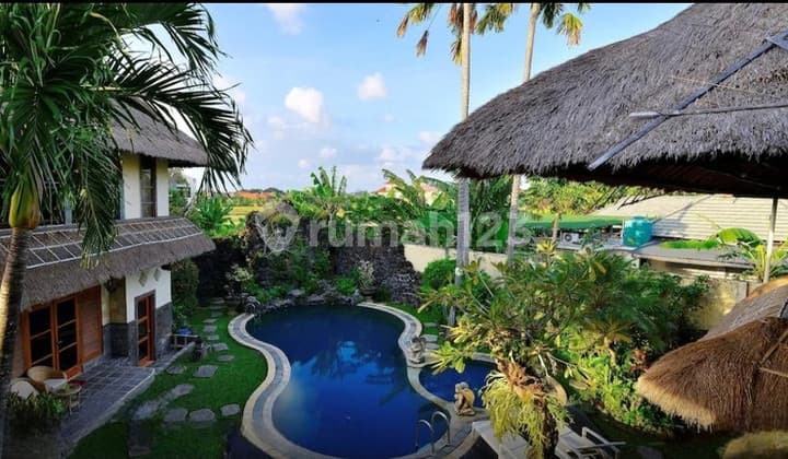 Tanah Bonus Villa Pinggir Jalan Batu Belig Seminyak Bali