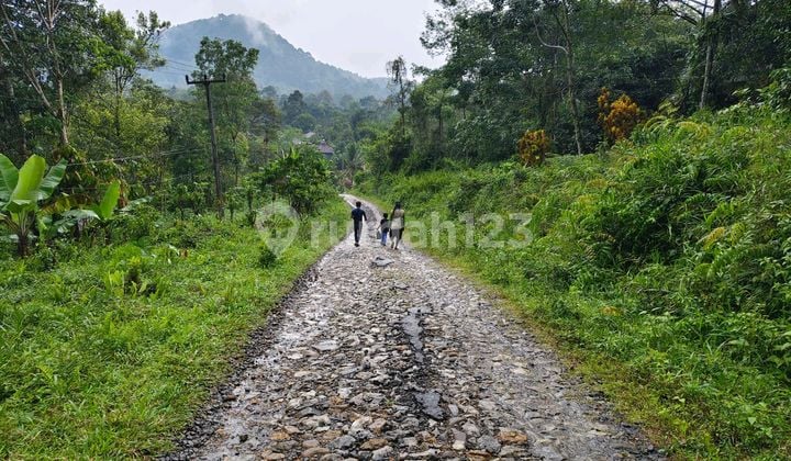 Dijual Tanah di Desa Cirinten Kecamatan Cirinten Provinsi Banten, Jawa Barat