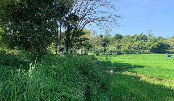 Jual Kavling 27.000 m2 di Cibinong cocok untuk Perumahan, Peternakan, Tempat Wisata, Pesantren
