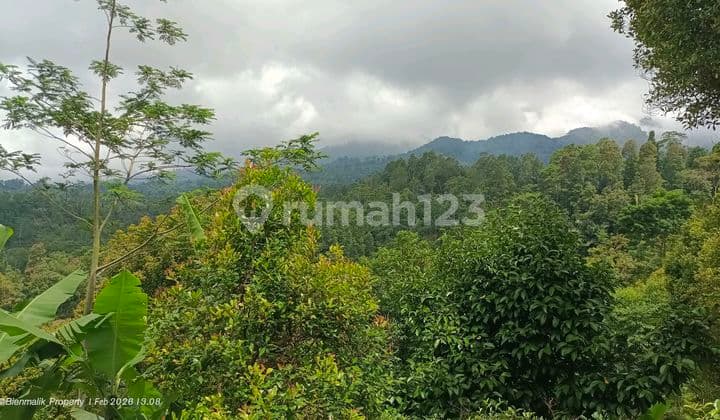 Kebun Produktif Dipegunungan Udara Sejuk View Indah