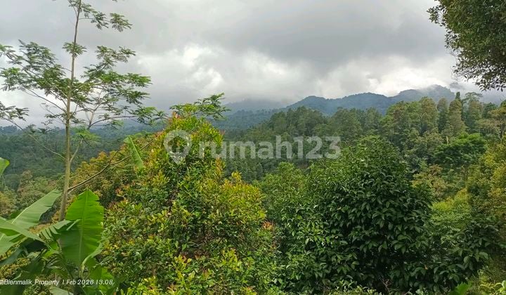 Kebun Produktif Dipegunungan Udara Sejuk View Indah