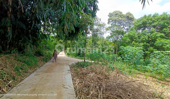 Kebun Produktif Samping Jala Udara Sejuk