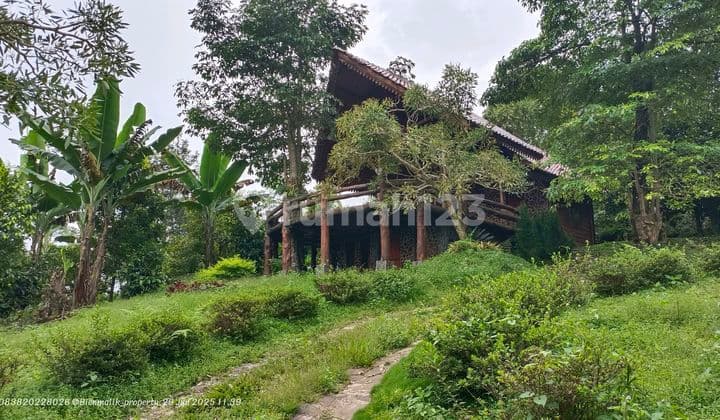 Kebun Premium Bonus Villa Subur dan Sejuk