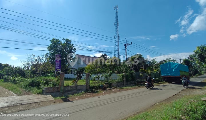 Lahan Kebun Full Datar Area Strategis Tanah Subur