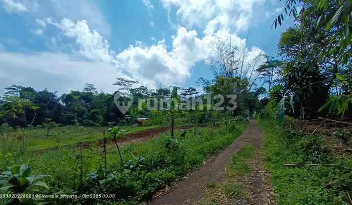Tanah Datar Subur Akses Masuk Mobil Area Perkebunan