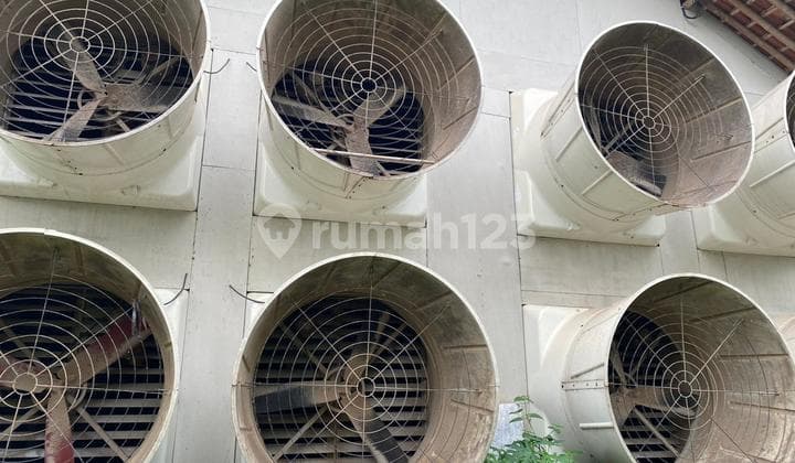 Di Jual Kandang Ayam Semi Modrn Aktif Kapasitas 20 Ribu Ekor