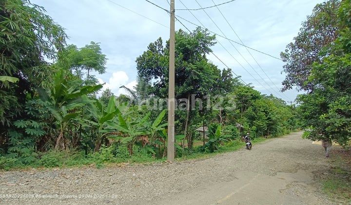 Dijual Kebun Subur & Produktif Lokasi Strategis Samping Jalan Besar 2 Mobil