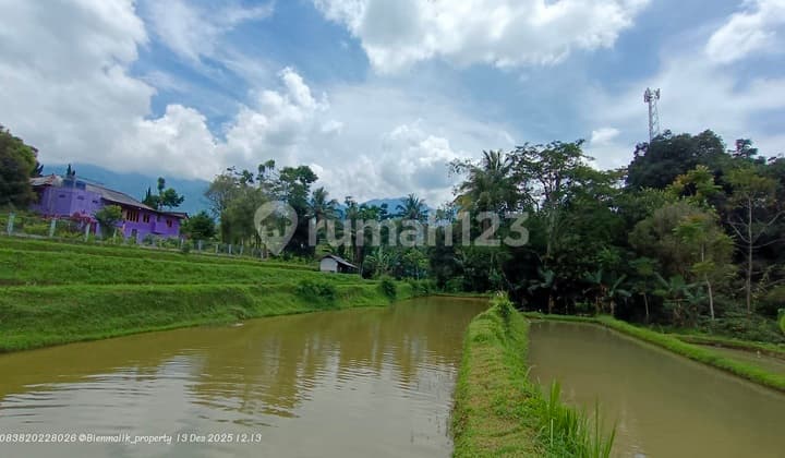 Kolam Ikan Siap Pakai di Area Pegunungan