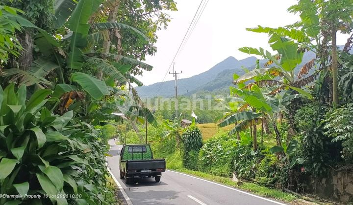 Kebun Strategis Samping Jalan Utama View Pegunungan