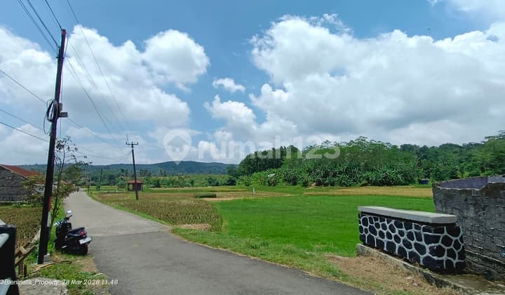 Jual Lahan Sawah Bonus Mata Air Panas Alami