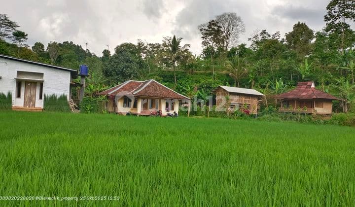 Sawa Aktif Area Agro Wisata Penginapan dengan Udara Sejuk