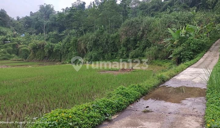 Kebun dan Sawah Produktif Bonus Tambang Pasir