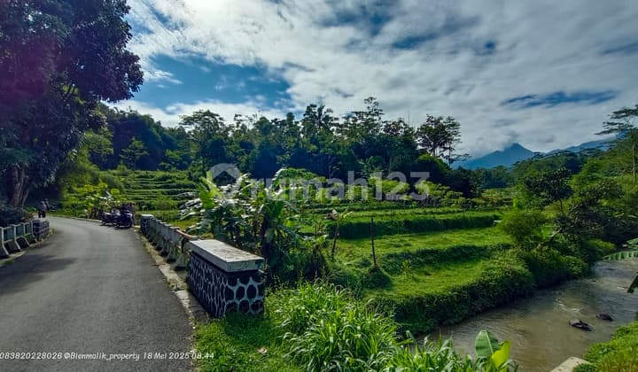 Tanah Sawah Samping Jalan Udara Sejuk Air Melimpah